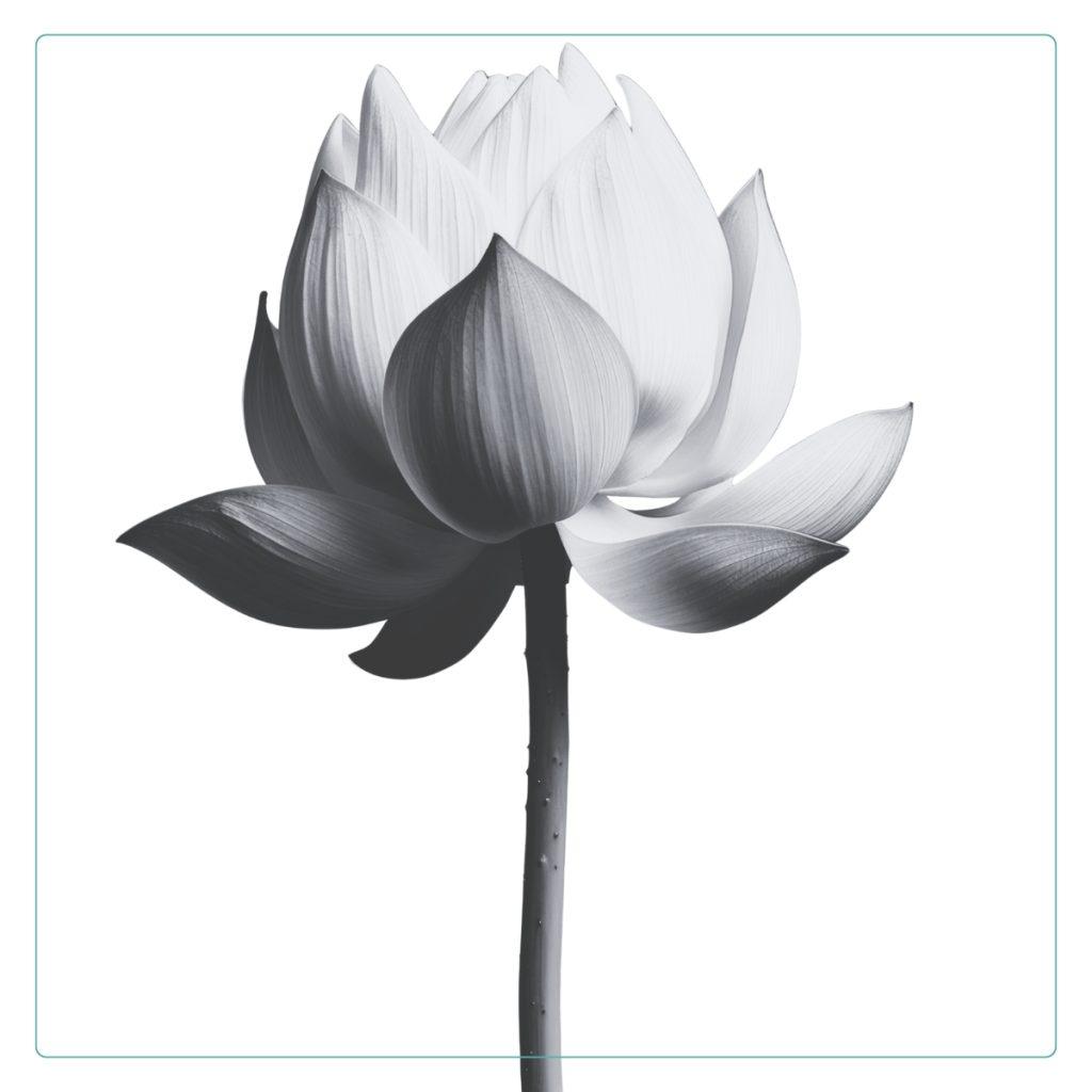 Bloomgevity Antiparazitar